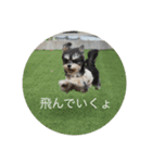 はち②（個別スタンプ：10）