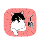 白黒と茶トラのスタンプ（個別スタンプ：10）