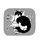 白黒と茶トラのスタンプ（個別スタンプ：13）