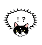 白黒と茶トラのスタンプ（個別スタンプ：16）