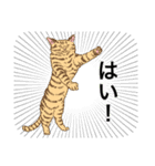 白黒と茶トラのスタンプ（個別スタンプ：18）