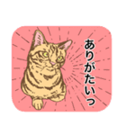 白黒と茶トラのスタンプ（個別スタンプ：26）