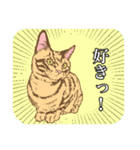 白黒と茶トラのスタンプ（個別スタンプ：29）