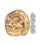 白黒と茶トラのスタンプ（個別スタンプ：31）
