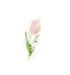 やまわらう（個別スタンプ：6）