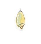 やまわらう（個別スタンプ：25）