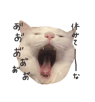 こはくのあまり使えないスタンプ（個別スタンプ：2）