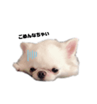 ビケクク（個別スタンプ：3）