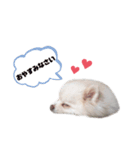 ビケクク（個別スタンプ：5）