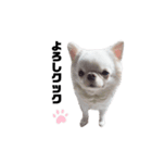 ビケクク（個別スタンプ：8）