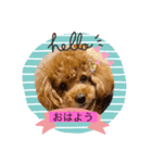 choco＆Qoo（個別スタンプ：1）