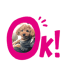 choco＆Qoo（個別スタンプ：4）
