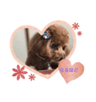 choco＆Qoo（個別スタンプ：7）