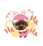 choco＆Qoo（個別スタンプ：8）