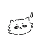 ねこの銀ちゃんです（個別スタンプ：13）