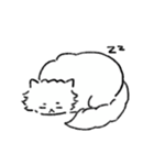 ねこの銀ちゃんです（個別スタンプ：19）