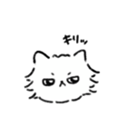 ねこの銀ちゃんです（個別スタンプ：37）