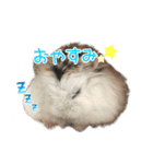 れいんのハムちゃん（個別スタンプ：2）