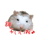 れいんのハムちゃん（個別スタンプ：6）