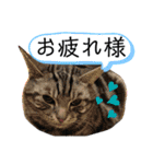 ♡可愛い家族達♡（個別スタンプ：6）