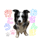 ♡可愛い家族達♡（個別スタンプ：11）