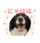 ♡可愛い家族達♡（個別スタンプ：13）