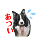 ♡可愛い家族達♡（個別スタンプ：19）