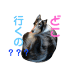 ♡可愛い家族達♡（個別スタンプ：22）