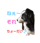 ♡可愛い家族達♡（個別スタンプ：23）