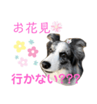 ♡可愛い家族達♡（個別スタンプ：24）