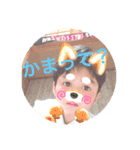 しゅしゅしゅのしゅーー（個別スタンプ：7）