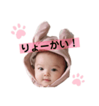 shiiスタンプ（個別スタンプ：1）