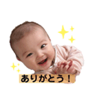 shiiスタンプ（個別スタンプ：2）