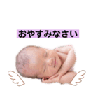 shiiスタンプ（個別スタンプ：4）
