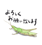 かしこまった虫たち（個別スタンプ：4）