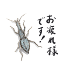 かしこまった虫たち（個別スタンプ：6）