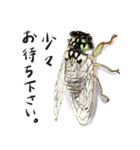かしこまった虫たち（個別スタンプ：8）