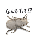 かしこまった虫たち（個別スタンプ：10）