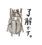 かしこまった虫たち（個別スタンプ：14）