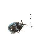 かしこまった虫たち（個別スタンプ：20）