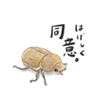 かしこまった虫たち（個別スタンプ：23）