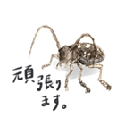 かしこまった虫たち（個別スタンプ：24）