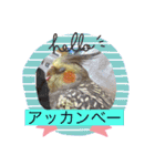 ここ＆福の日常会話（個別スタンプ：2）