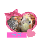ここ＆福の日常会話（個別スタンプ：3）
