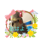ここ＆福の日常会話（個別スタンプ：4）