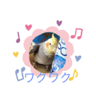 ここ＆福の日常会話（個別スタンプ：7）