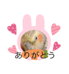 ここ＆福の日常会話（個別スタンプ：10）
