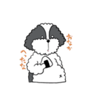 あほの子そうすけ（個別スタンプ：25）