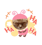 トラ マロン バンビの日常（個別スタンプ：20）