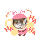 トラ マロン バンビの日常（個別スタンプ：28）